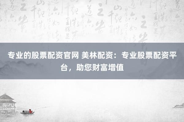 专业的股票配资官网 美林配资：专业股票配资平台，助您财富增值