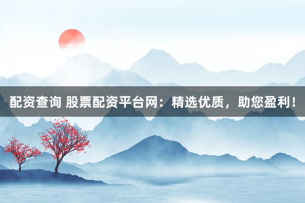 配资查询 股票配资平台网：精选优质，助您盈利！