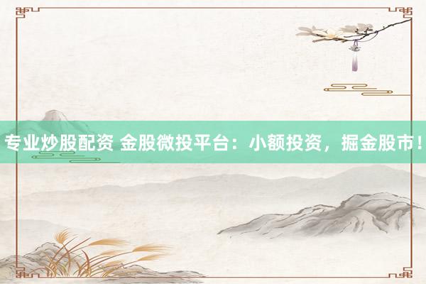 专业炒股配资 金股微投平台：小额投资，掘金股市！