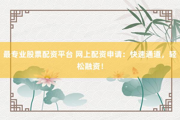 最专业股票配资平台 网上配资申请：快速通道，轻松融资！