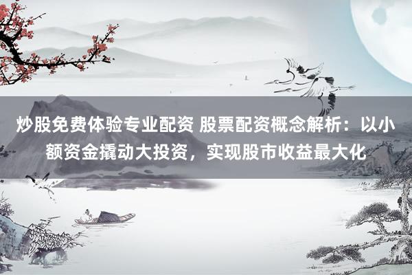 炒股免费体验专业配资 股票配资概念解析：以小额资金撬动大投资，实现股市收益最大化