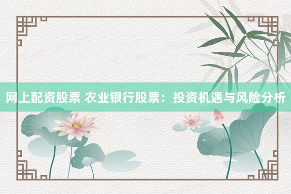 网上配资股票 农业银行股票：投资机遇与风险分析