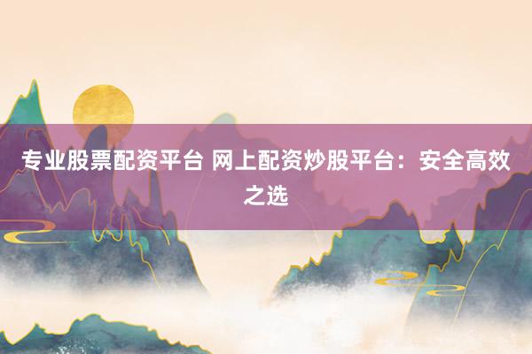 专业股票配资平台 网上配资炒股平台：安全高效之选