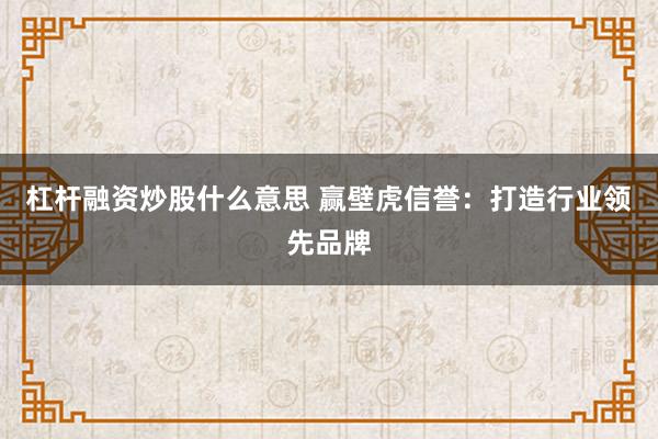 杠杆融资炒股什么意思 赢壁虎信誉:打造行业领先品牌