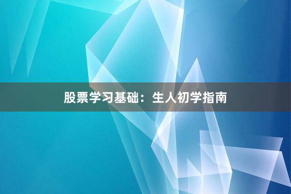 股票学习基础：生人初学指南