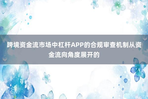 跨境资金流市场中杠杆APP的合规审查机制从资金流向角度展开的